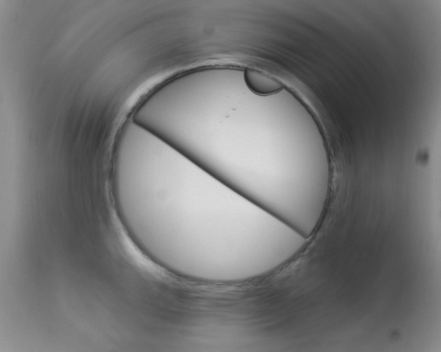 X0000114021143200910021010