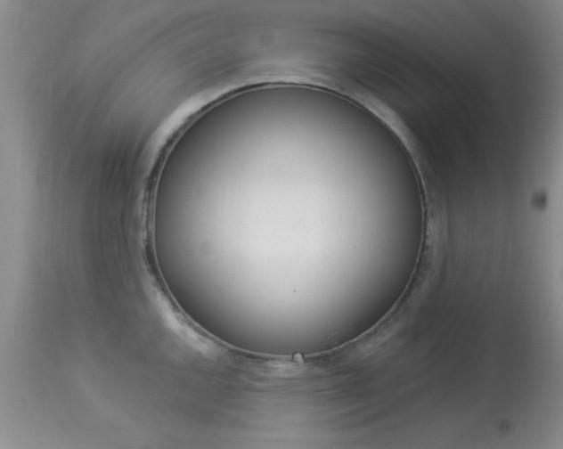 X0000114021144200910021010
