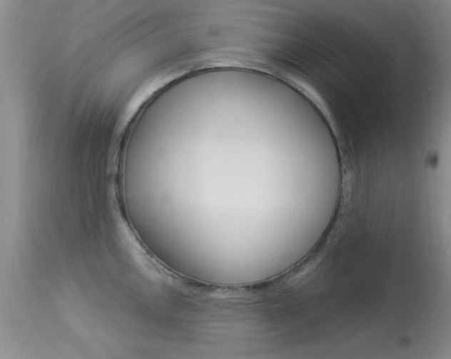 X0000114021146200910021011