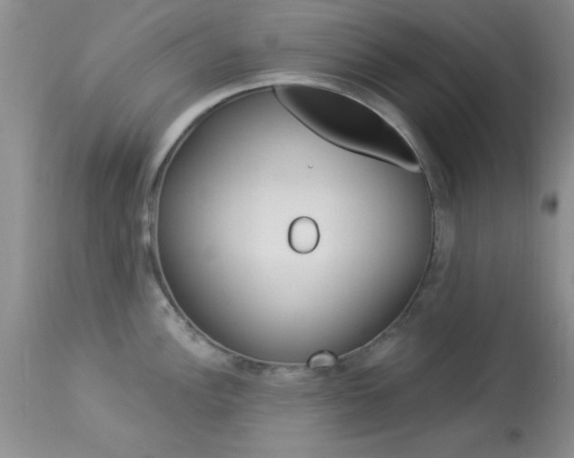 X0000114021148200910021011