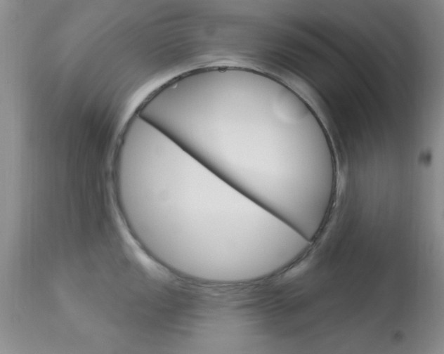 X0000114021149200910021011
