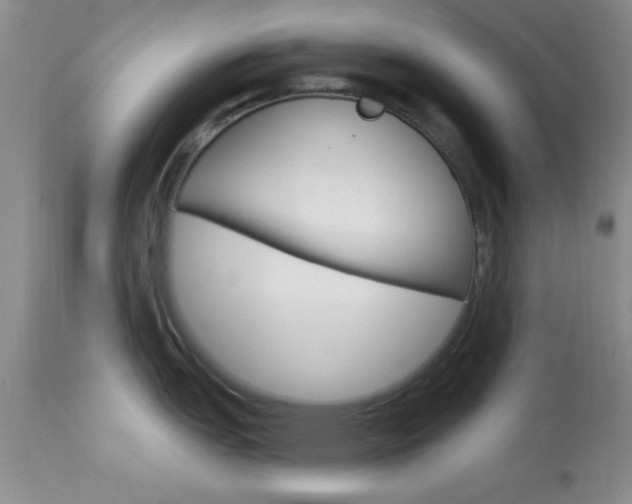X0000114021151200910021011