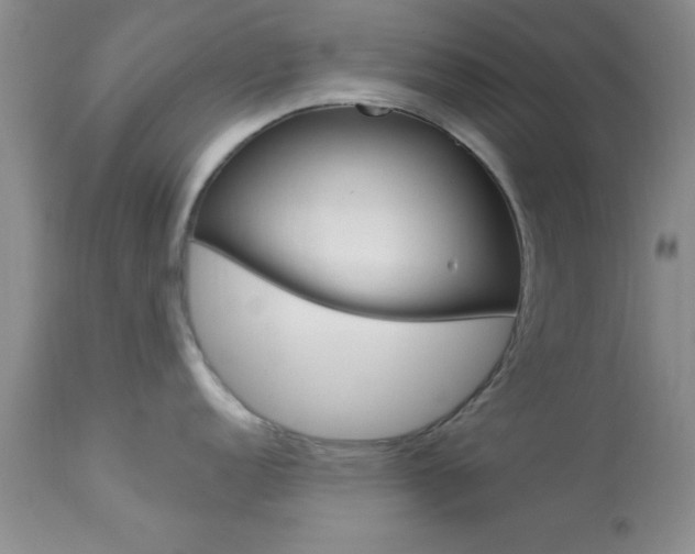 X0000114021152200910021011