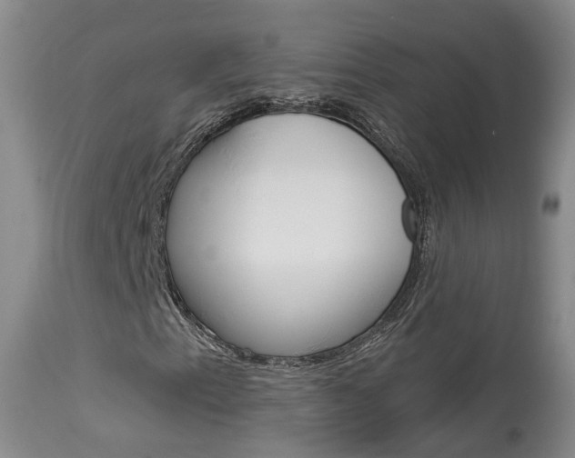 X0000114021153200910021010