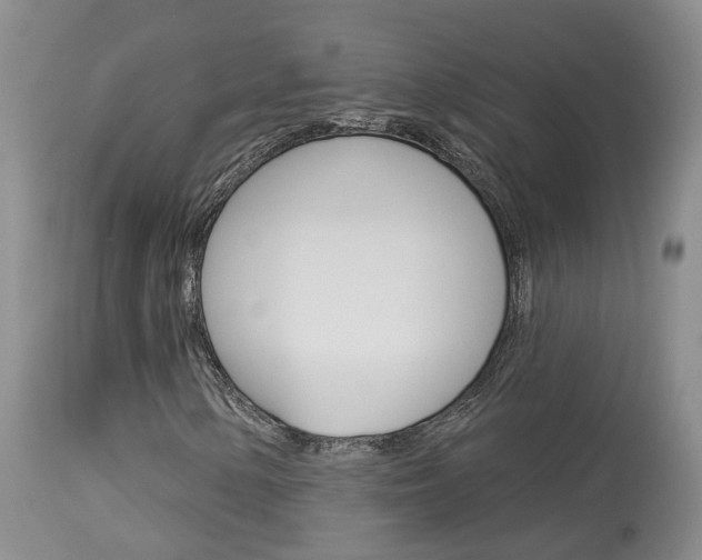 X0000114021154200910021010