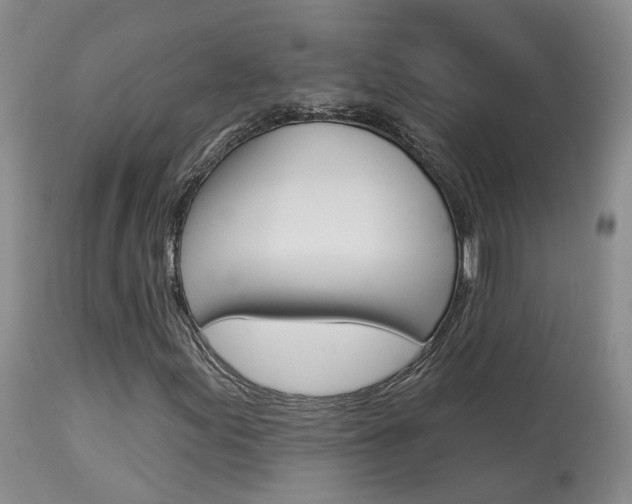 X0000114021155200910021010