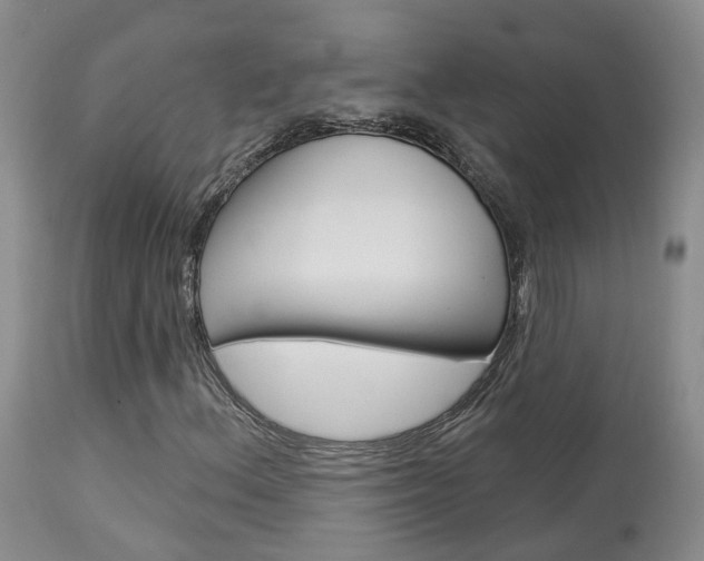 X0000114021156200910021010