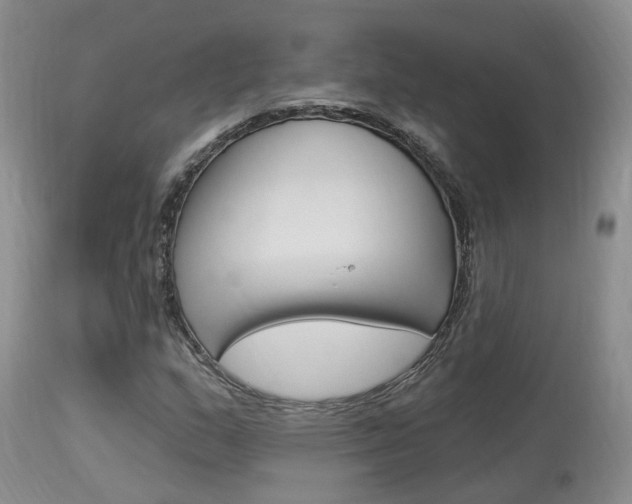 X0000114021159200910021010