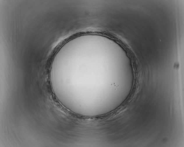 X0000114021160200910021010