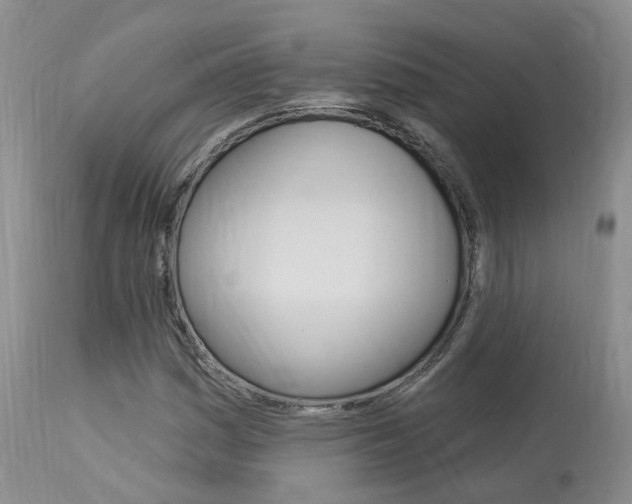 X0000114021161200910021010