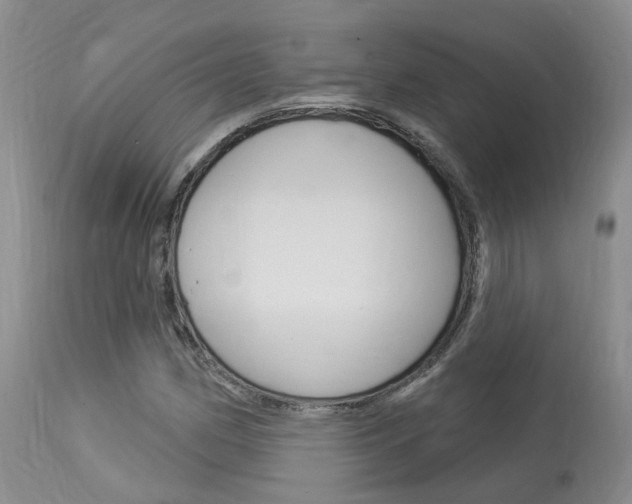 X0000114021162200910021010