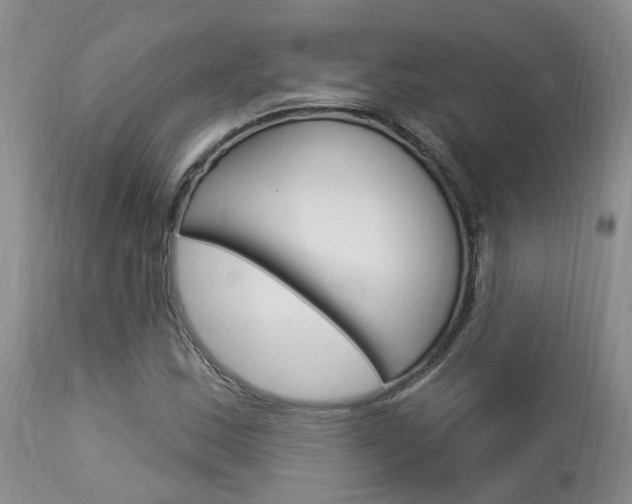 X0000114021163200910021010