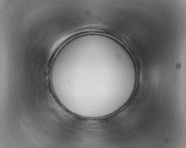 X0000114021164200910021010