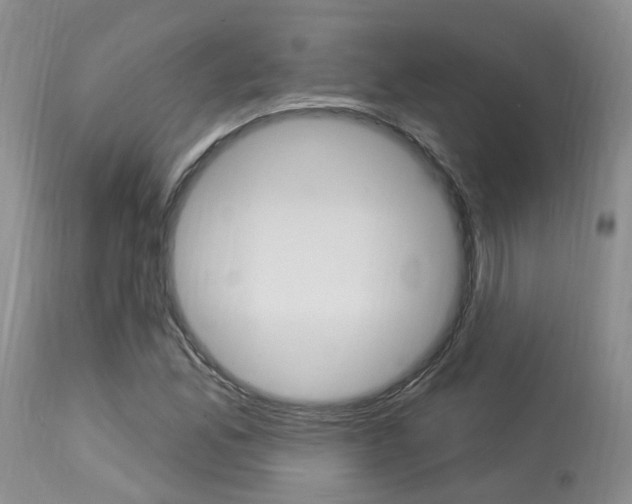 X0000114021165200910021010