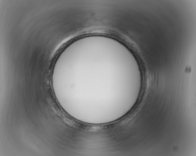 X0000114021166200910021010