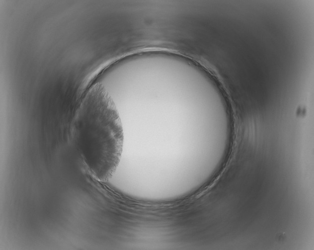 X0000114021167200910021010