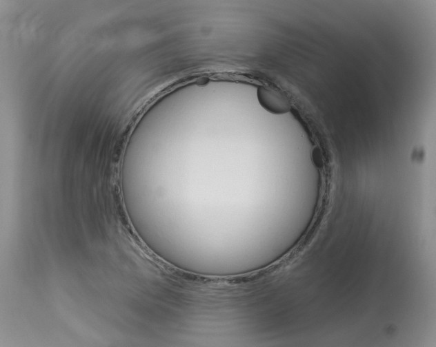 X0000114021169200910021010
