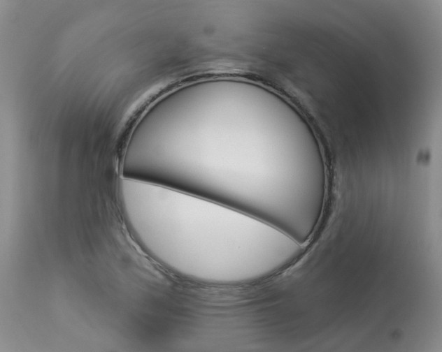 X0000114021171200910021010