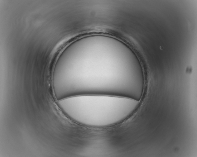 X0000114021172200910021010
