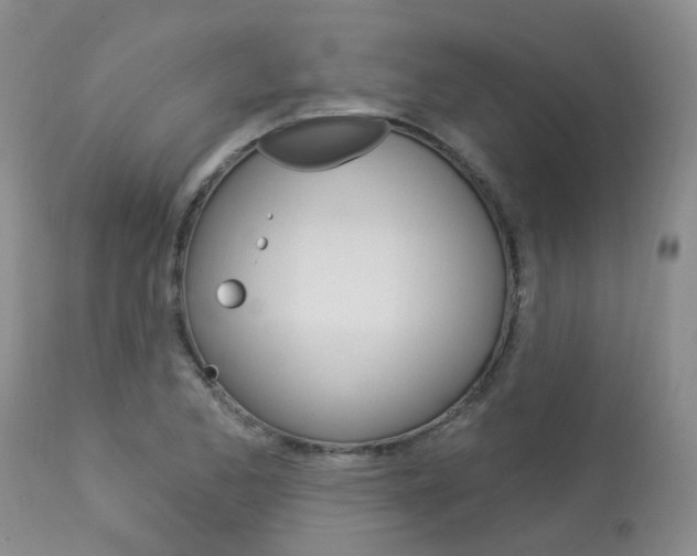 X0000114021173200910021010
