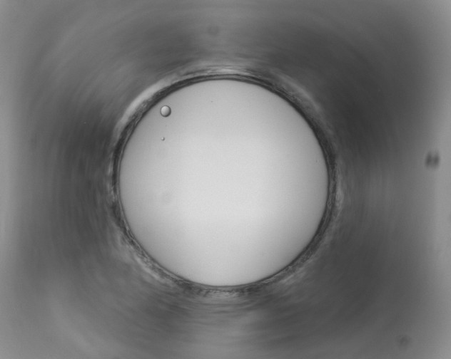 X0000114021174200910021009