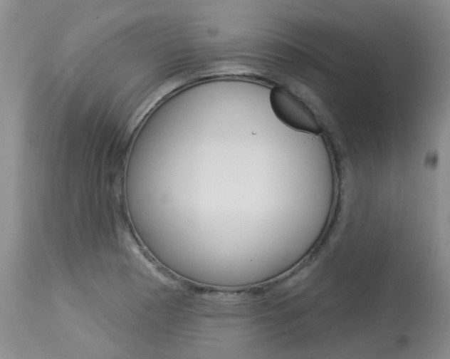 X0000114021177200910021009