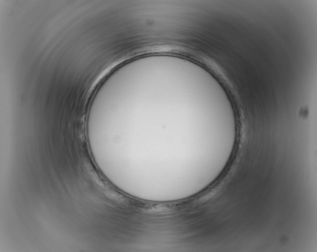 X0000114021178200910021009