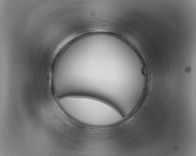 X0000114021179200910021009