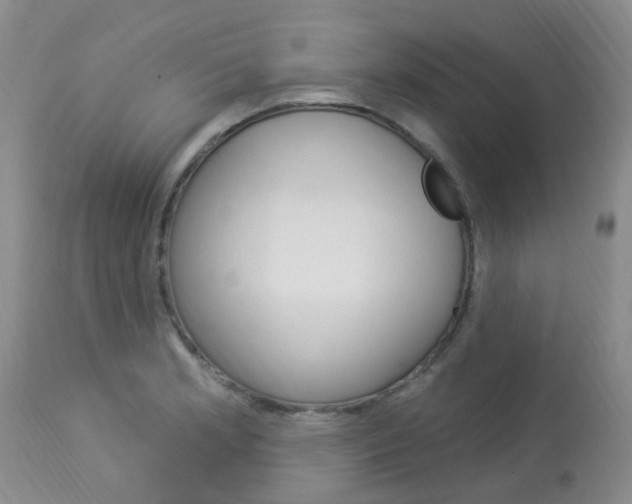 X0000114021181200910021009