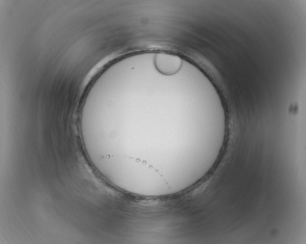 X0000114021182200910021009
