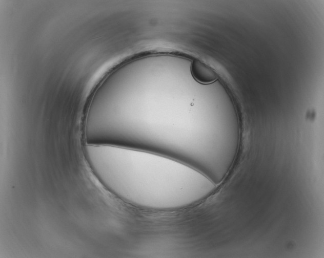 X0000114021183200910021009