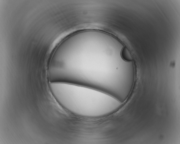 X0000114021184200910021009