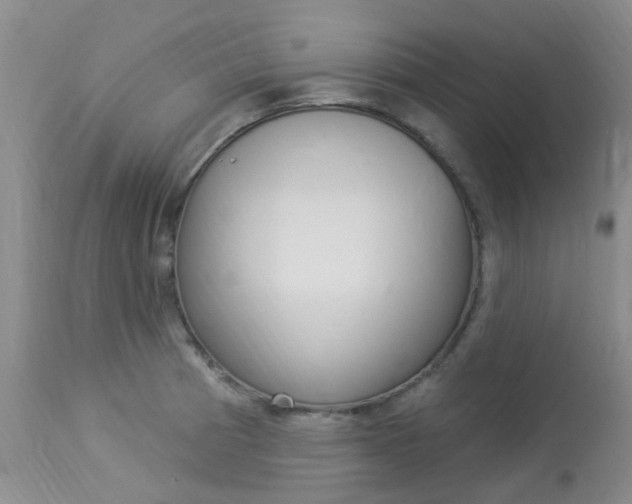 X0000114021185200910021009
