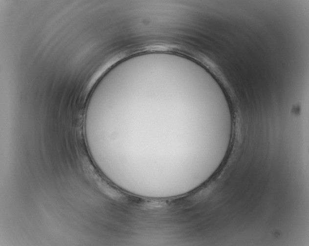 X0000114021186200910021009