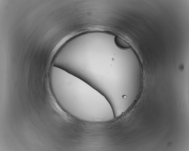 X0000114021187200910021009