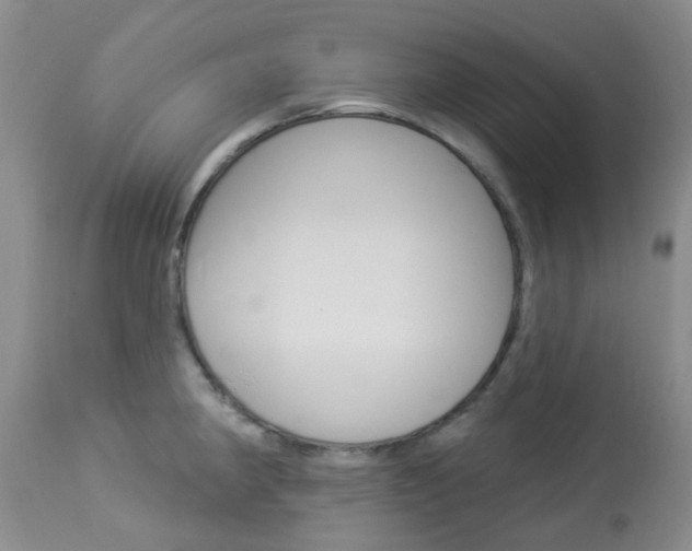 X0000114021190200910021009