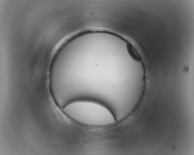 X0000114021191200910021009