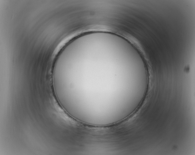 X0000114021192200910021009