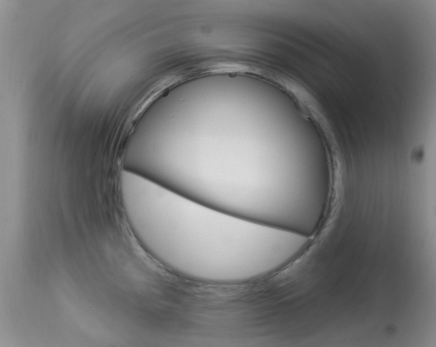X0000114021193200910021009