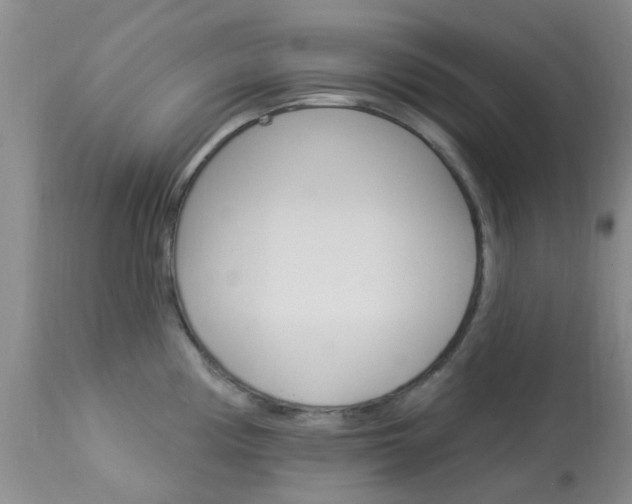 X0000114021194200910021009