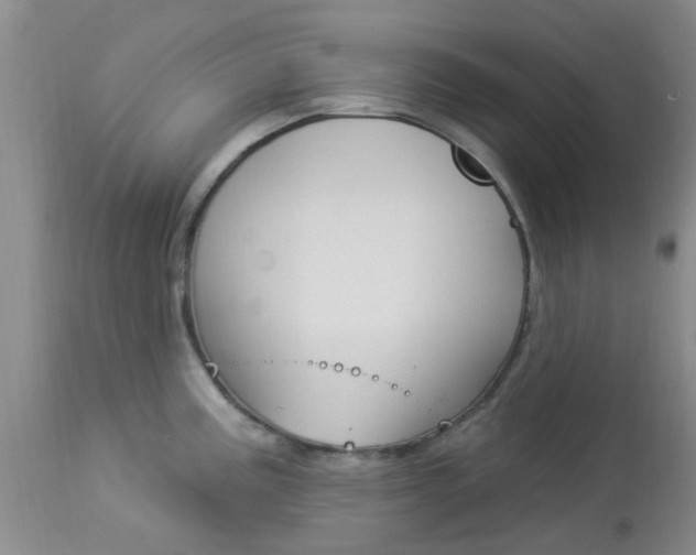 X0000114021195200910021009