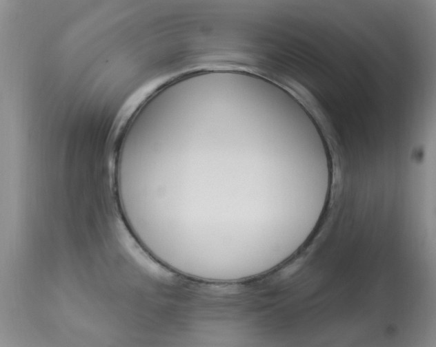 X0000114021196200910021009