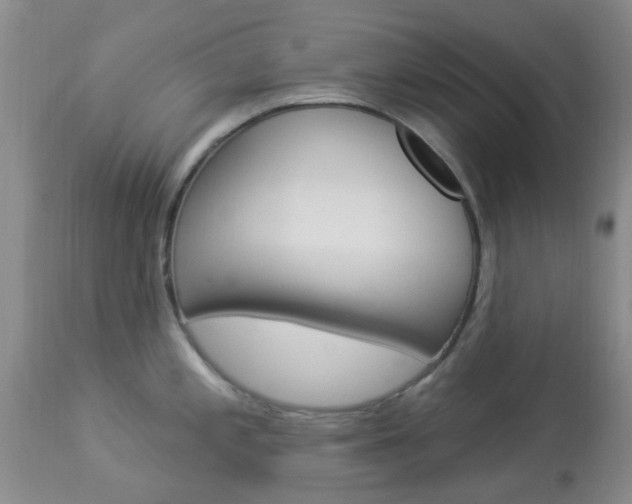 X0000114021197200910021009