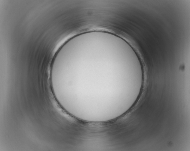 X0000114021198200910021009