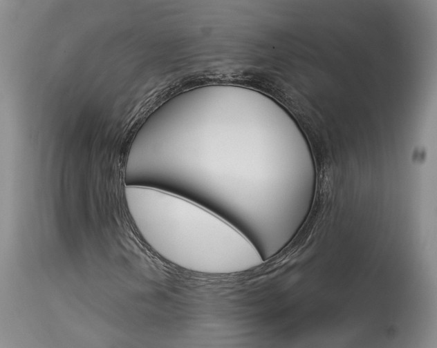 X0000114021202200910021008