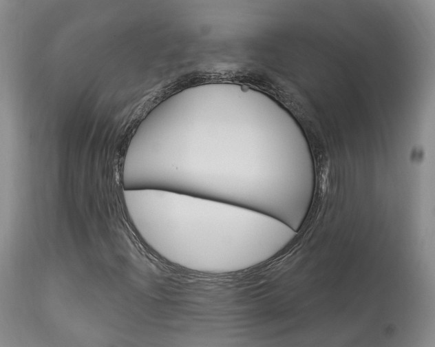 X0000114021204200910021008
