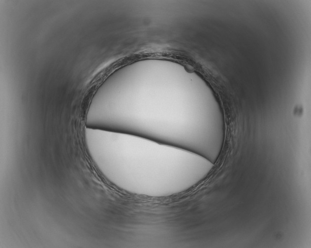 X0000114021206200910021008