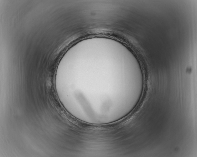 X0000114021209200910021008