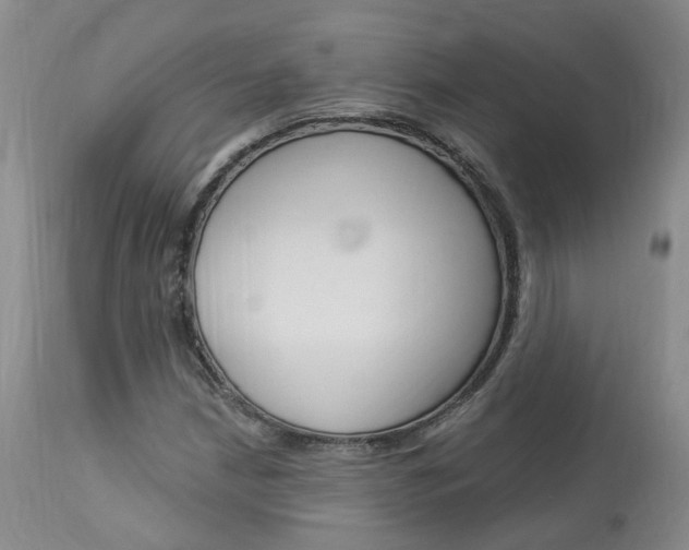 X0000114021210200910021008