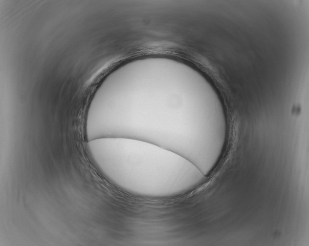 X0000114021211200910021008